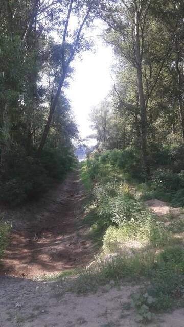 Фото номера Дом для отпуска Дома для отпуска Casa de Vacanta г. Сулина 68